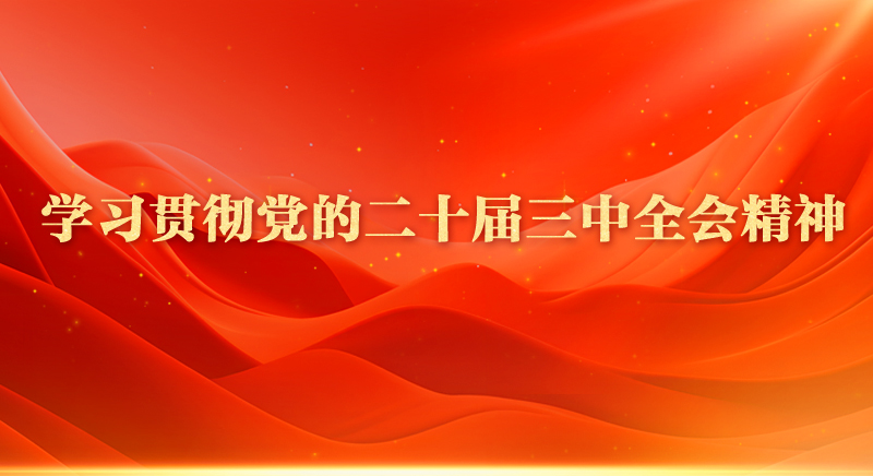 學習貫徹黨的二十屆三中全會精神